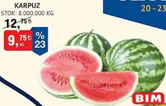 KARPUZ KG fiyat ve kampanya bilgisi